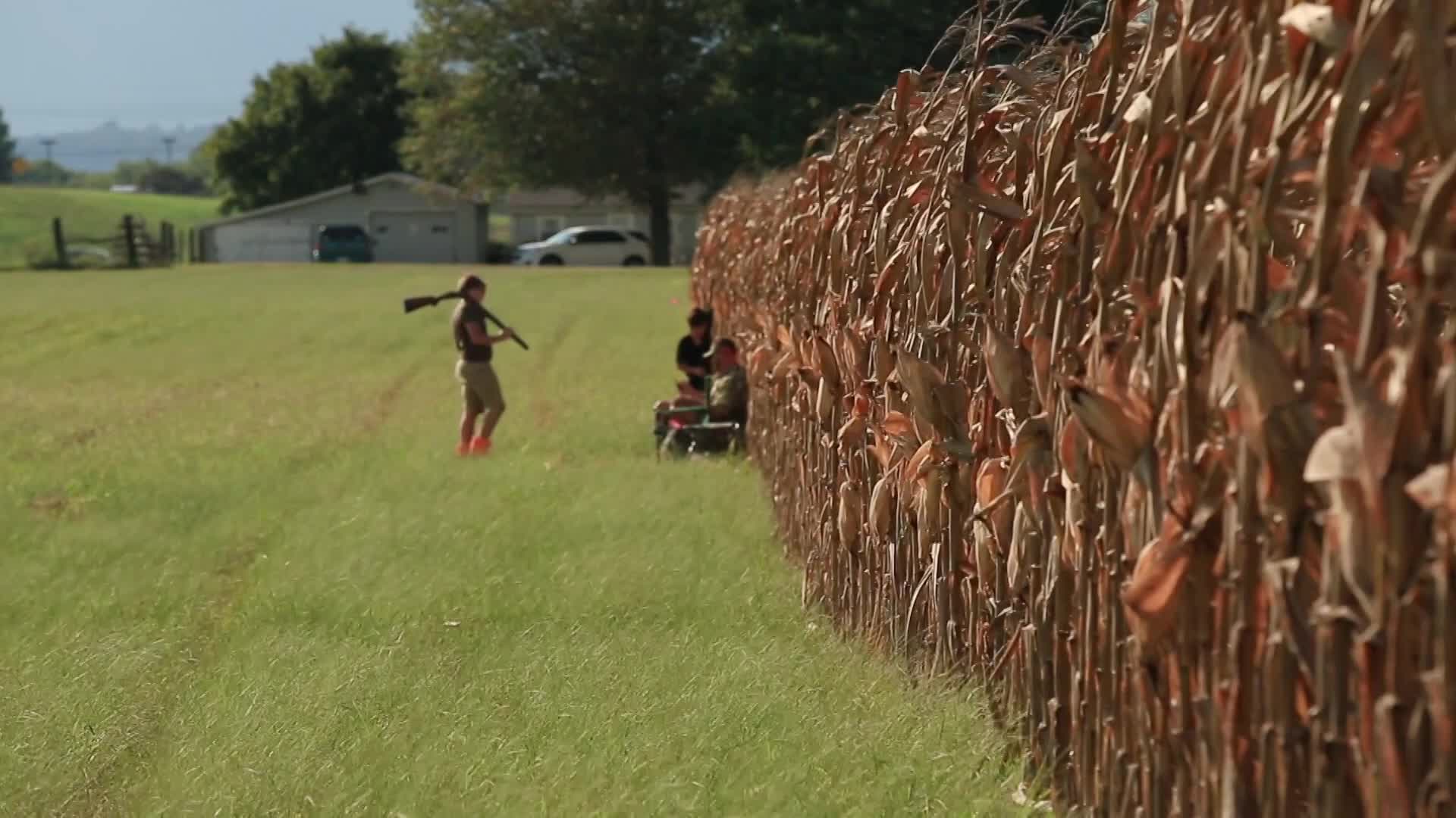 TN Wildcast