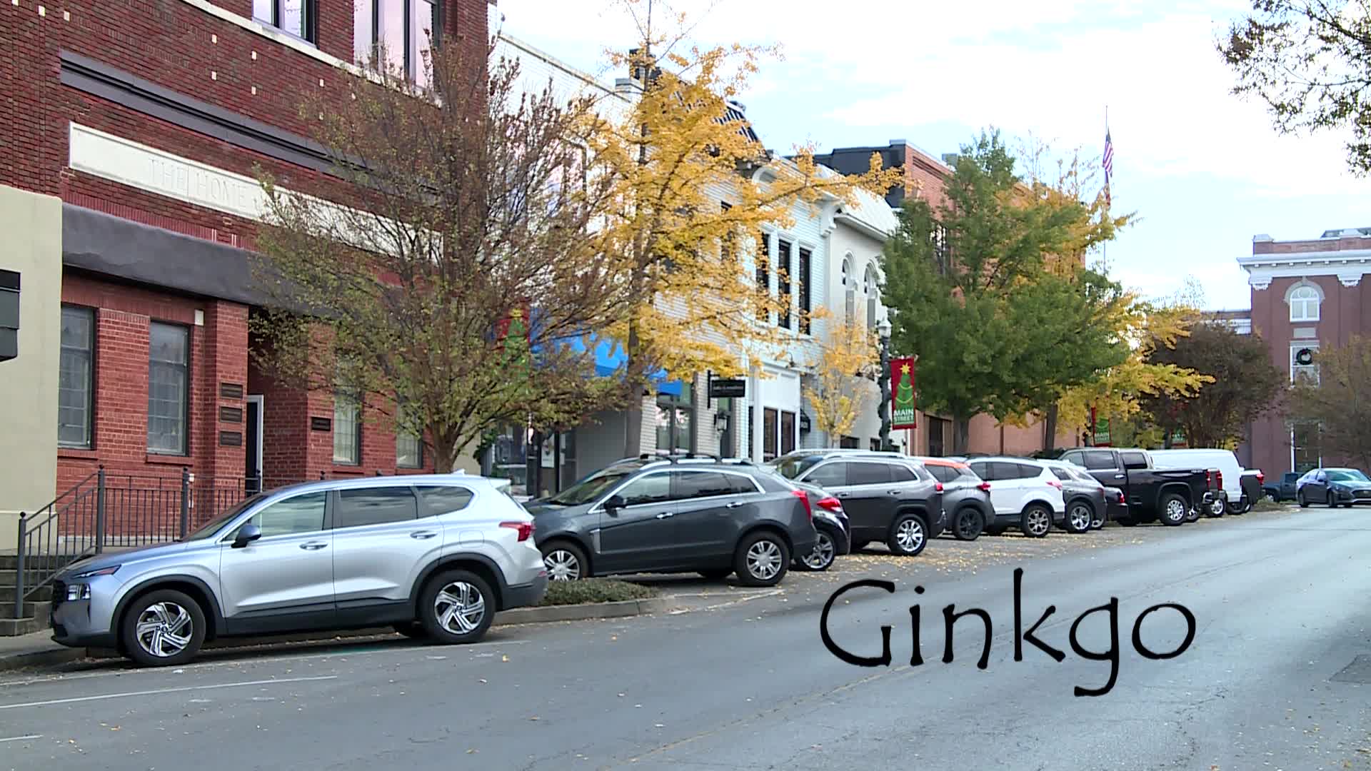 Thumbnail image for Tree Replacement on the Square