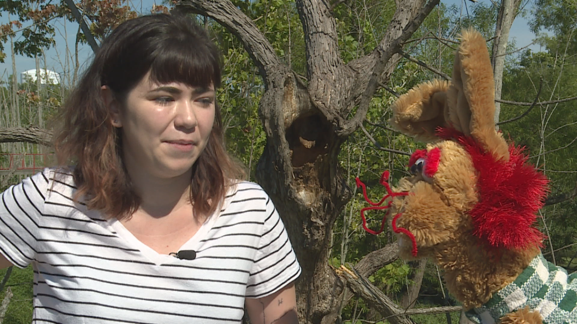 Thumbnail image for Murphry's Burrow