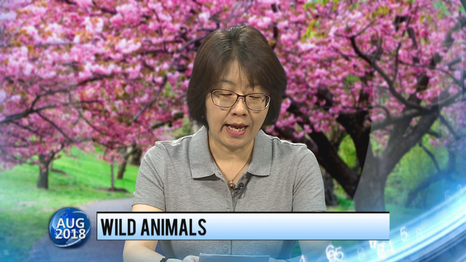 Thumbnail image for Konnichiwa Murfreesboro