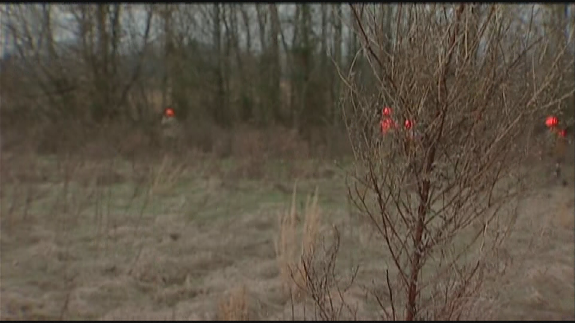 Thumbnail image for TN Wild Side