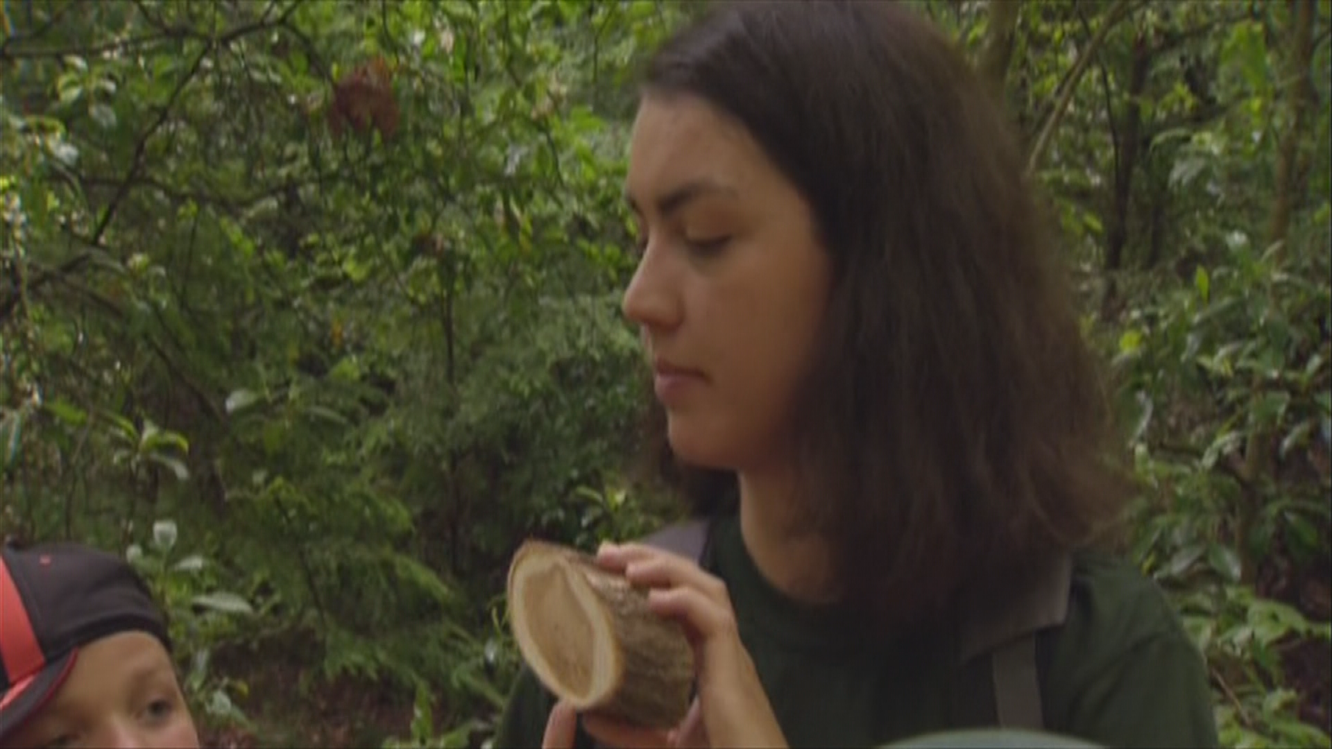 Thumbnail image for TN Wild Side