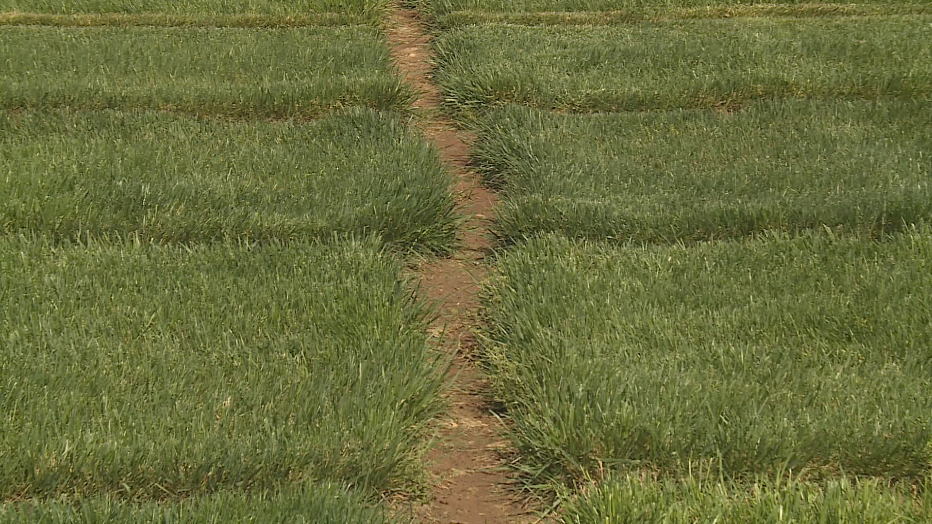 Thumbnail image for Talkin' Agriculture