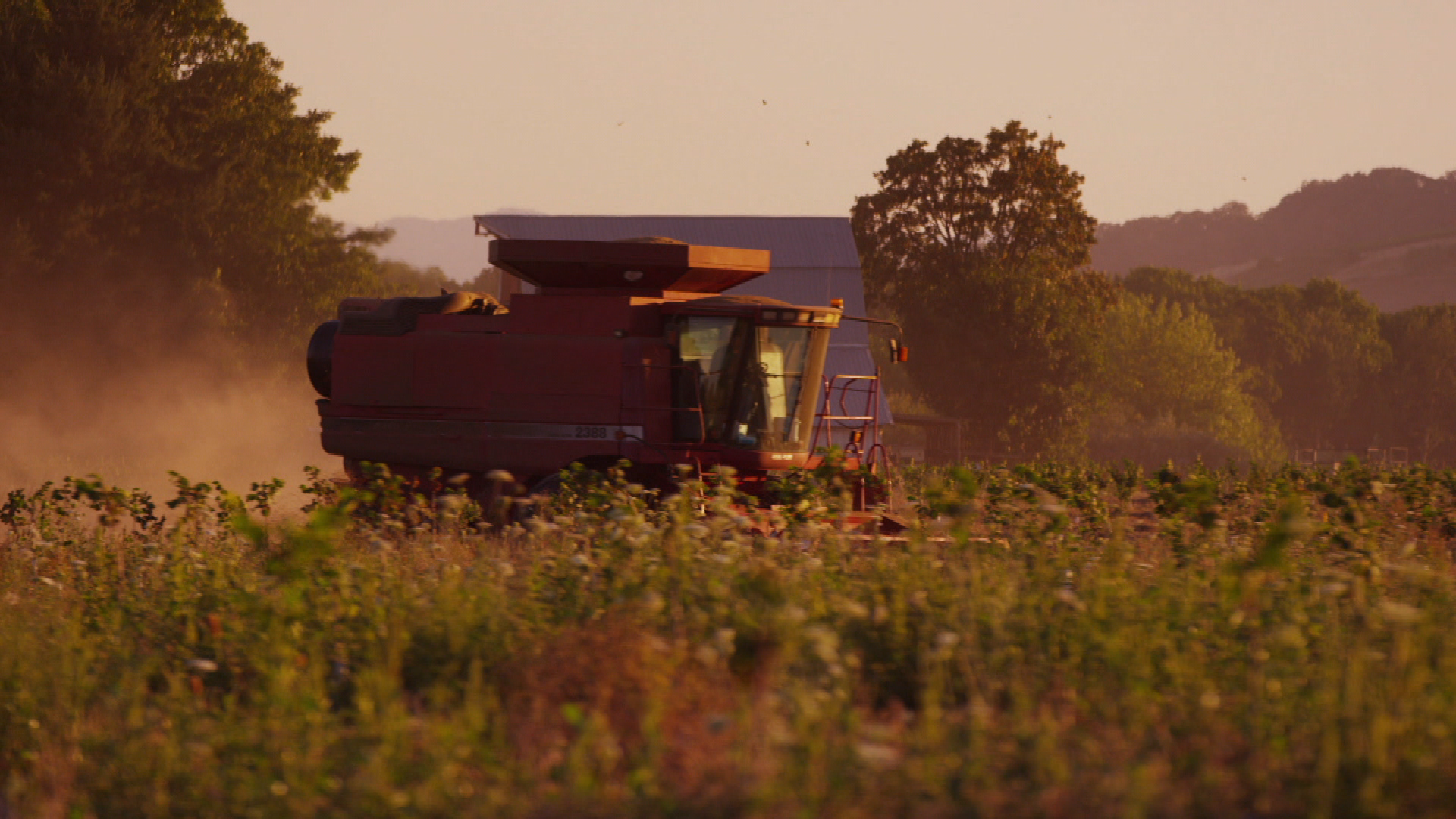 Thumbnail image for Talkin' Agriculture