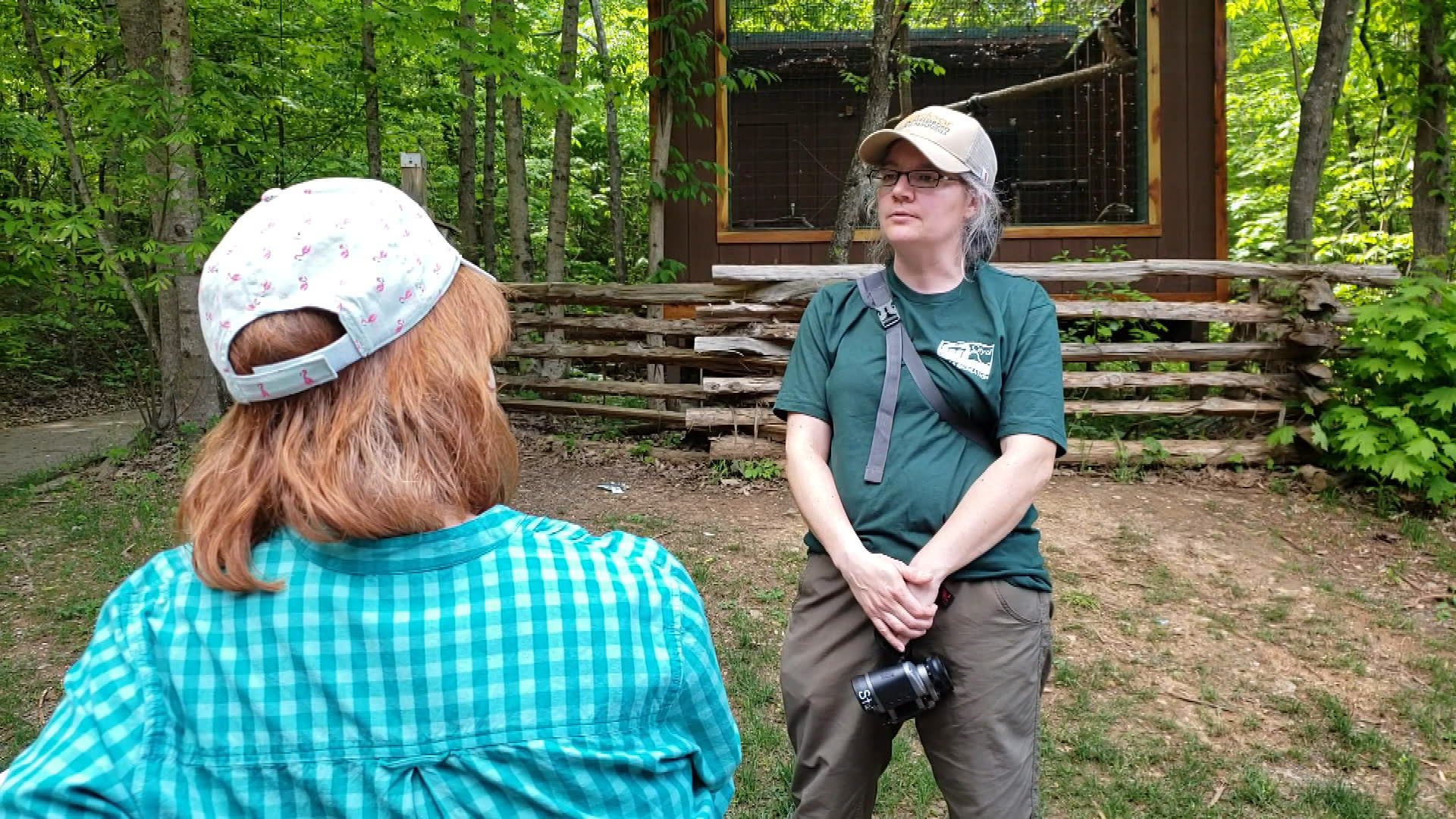 Thumbnail image for Bird Watching at Wilderness Station