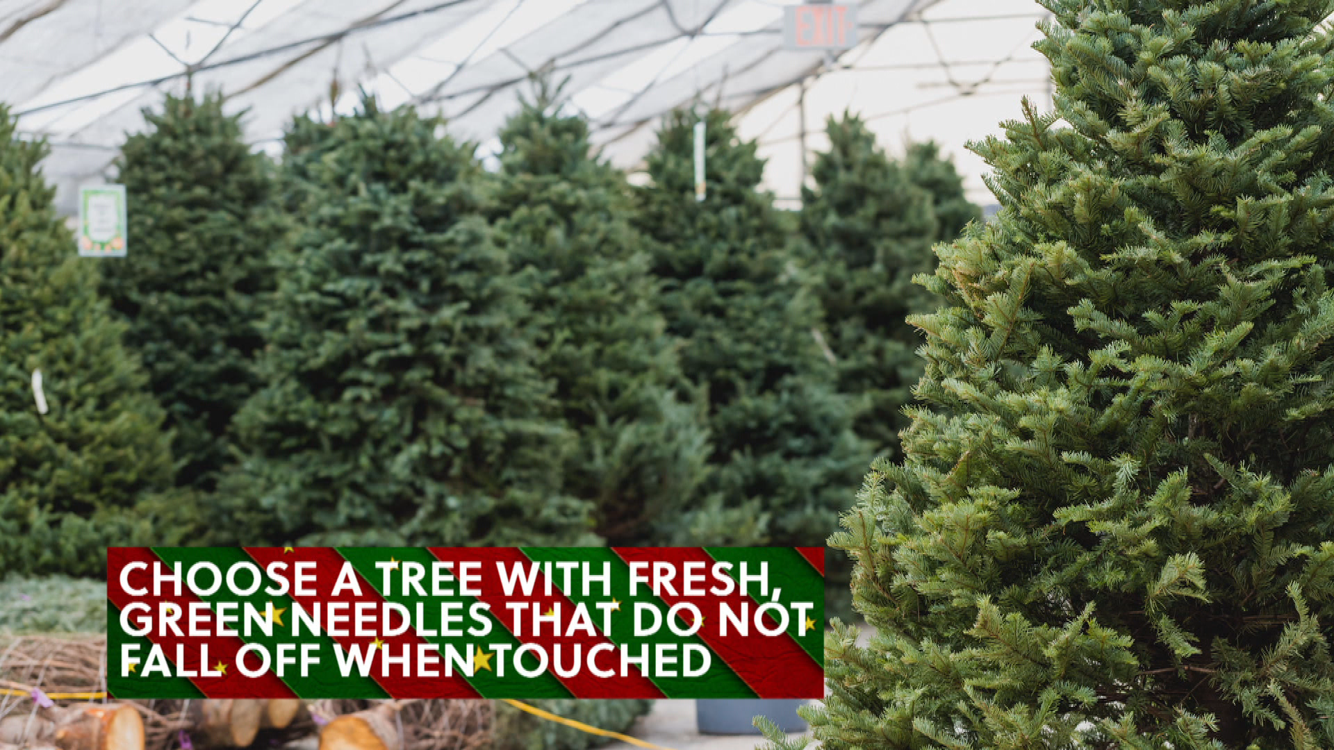 Thumbnail image for Holiday Fire Safety Tips