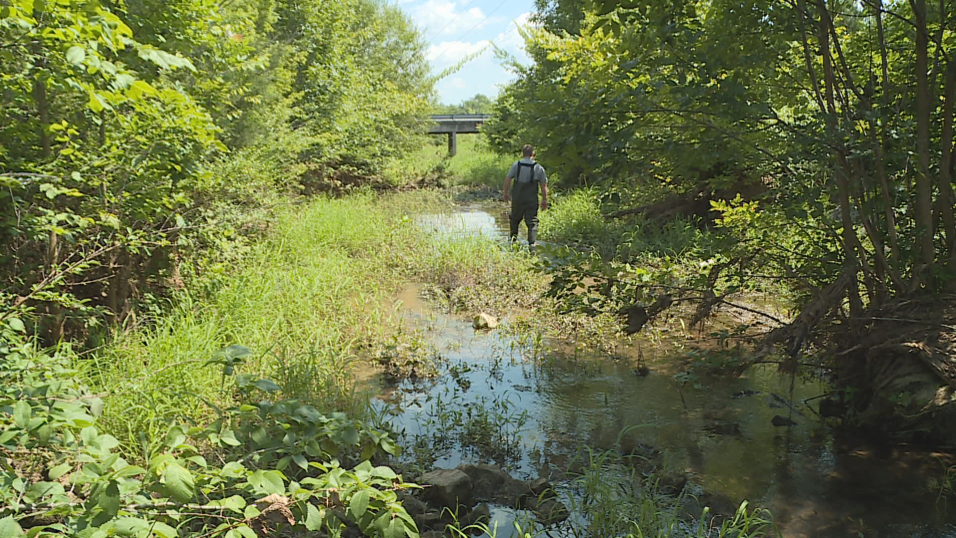 Bushman Creek Watershed