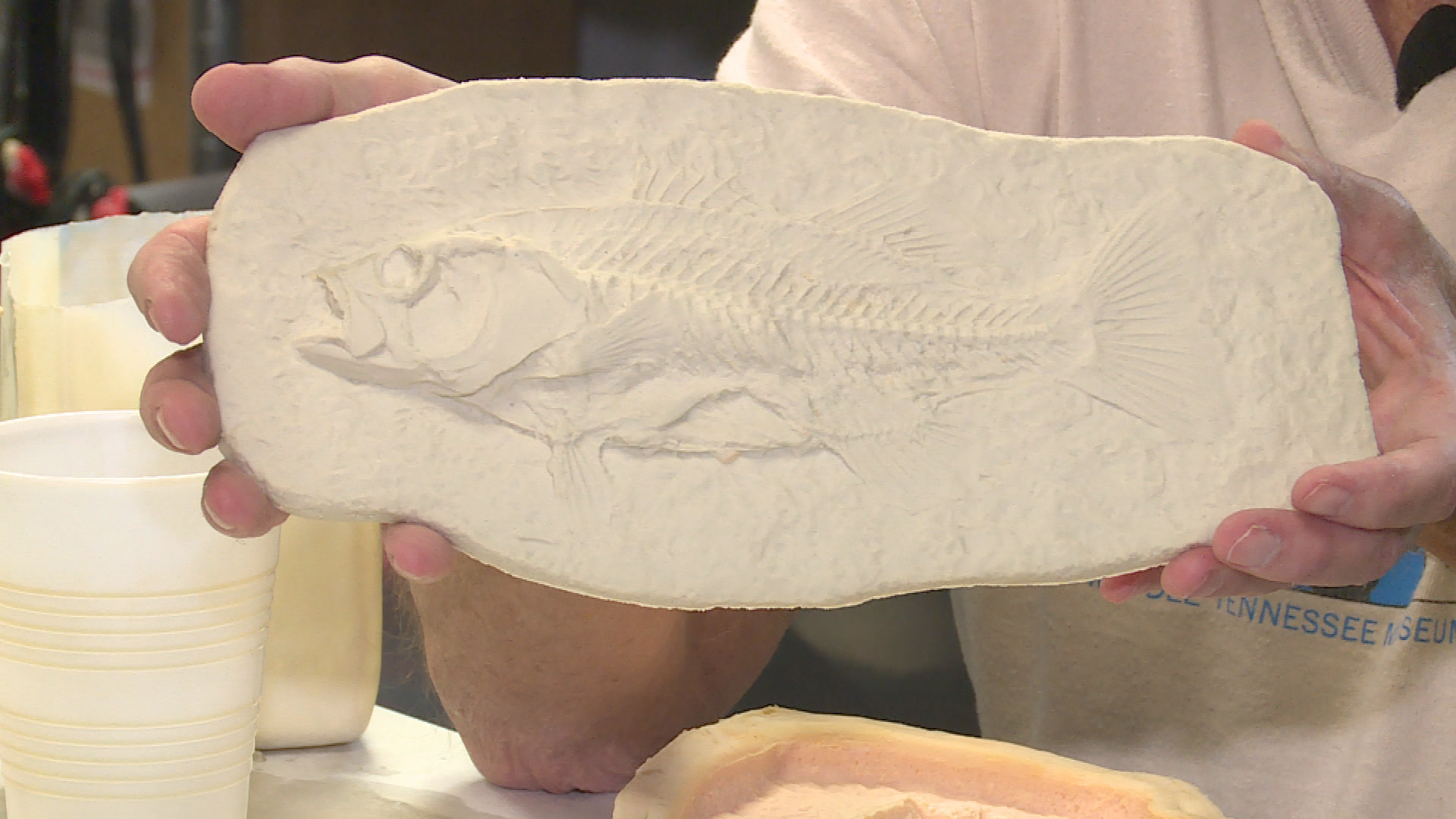 Thumbnail image for Dine Bites: Making a Fossil Cast