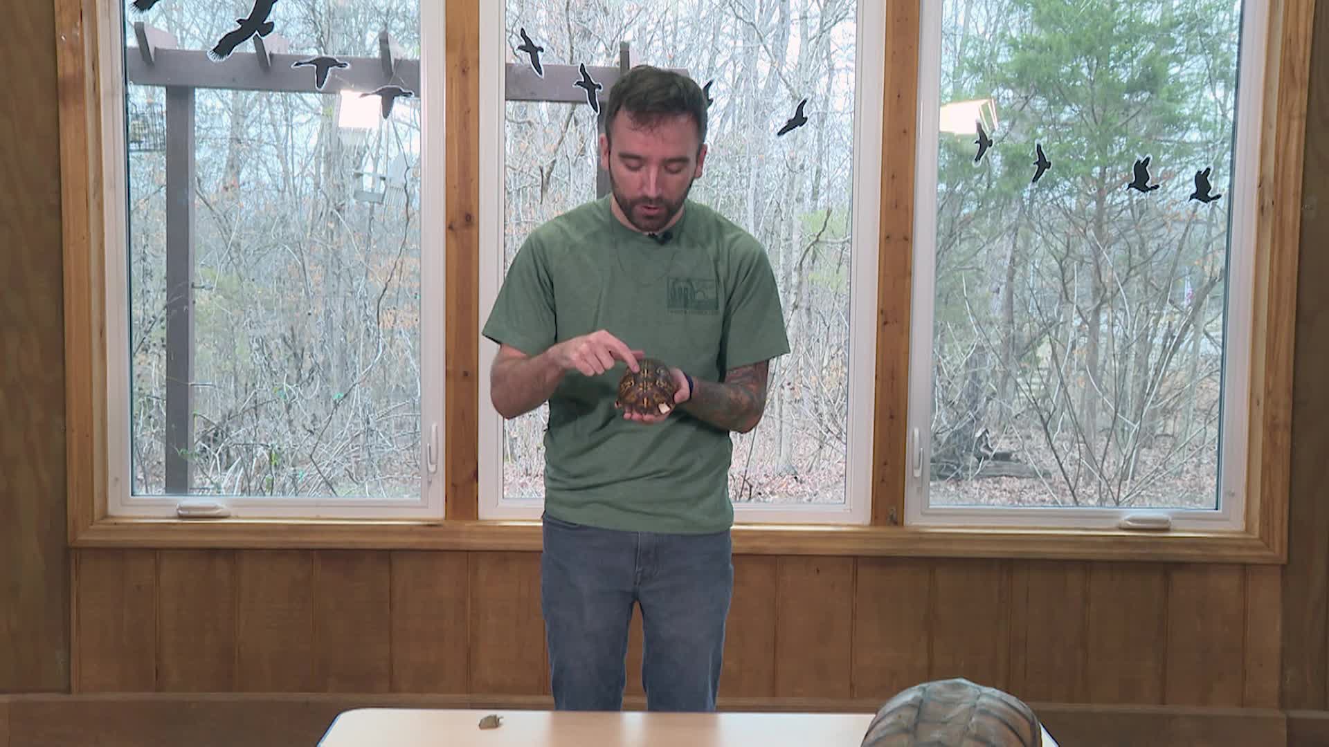 Thumbnail image for What in the Wild