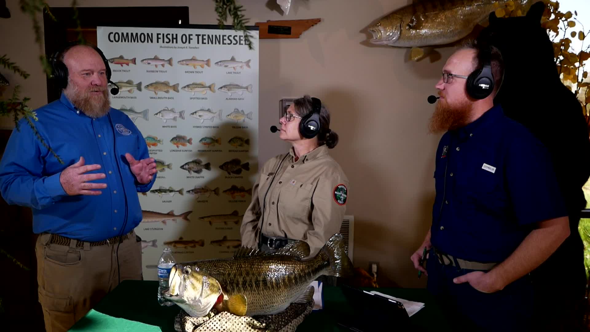 TN Wildcast