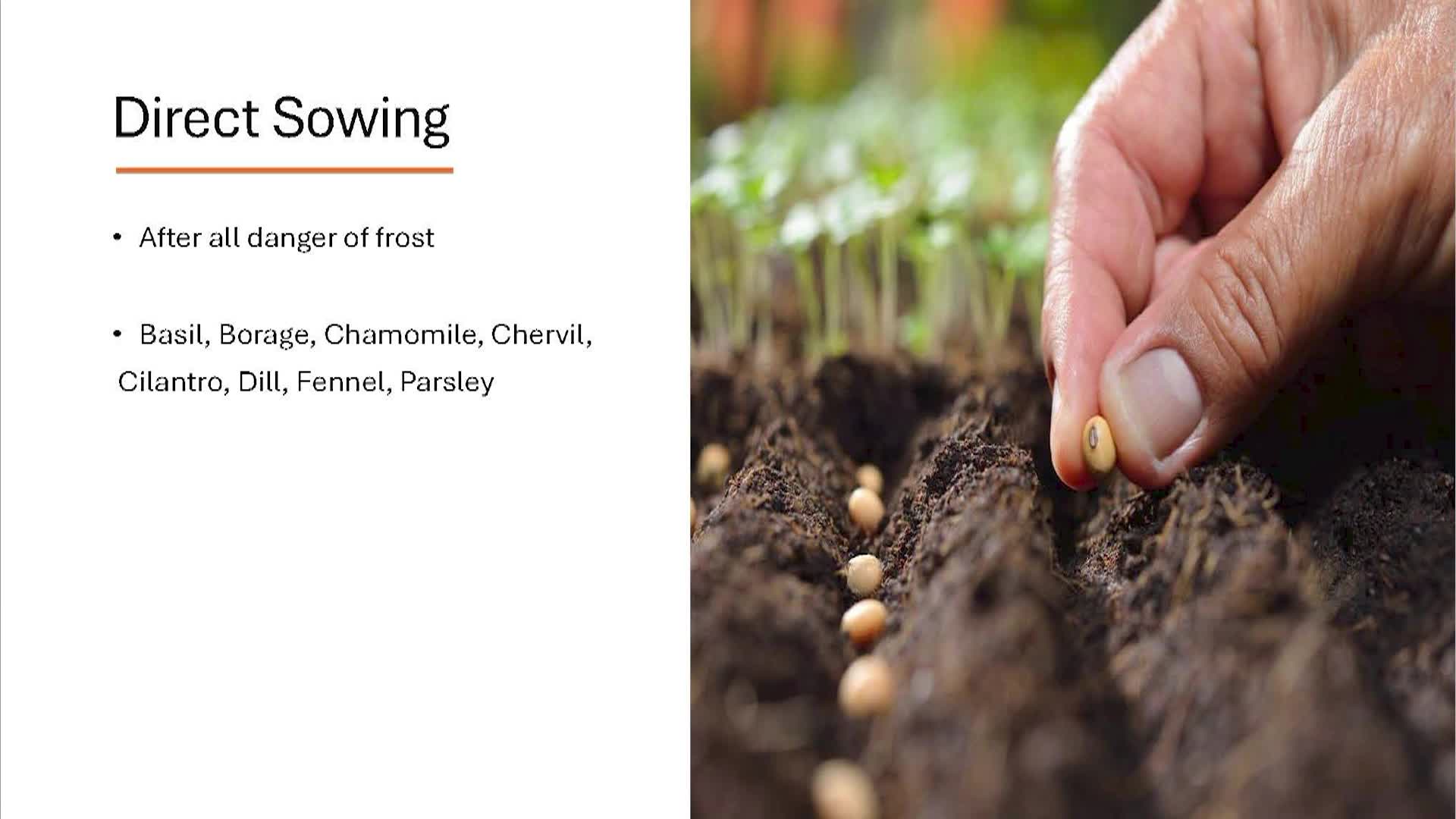 Joy of Growing Herbs