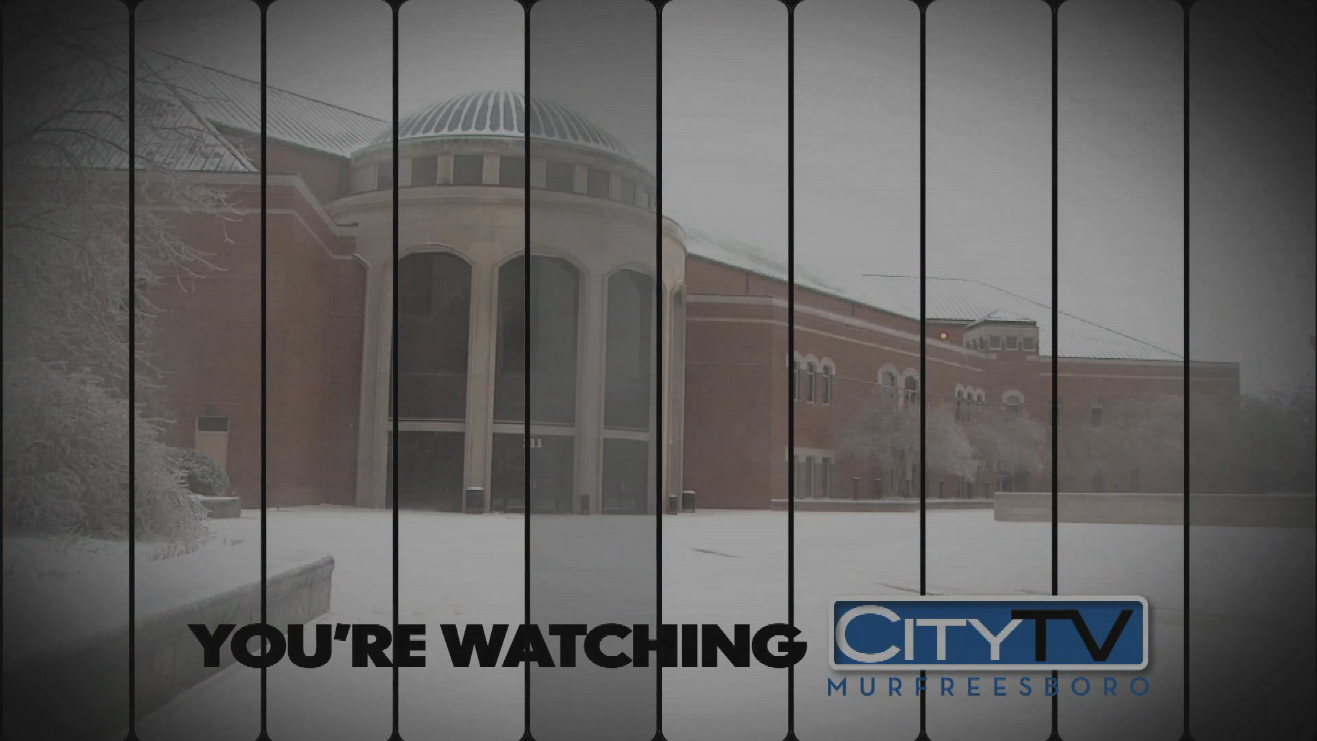 Thumbnail image for Winter ID-2