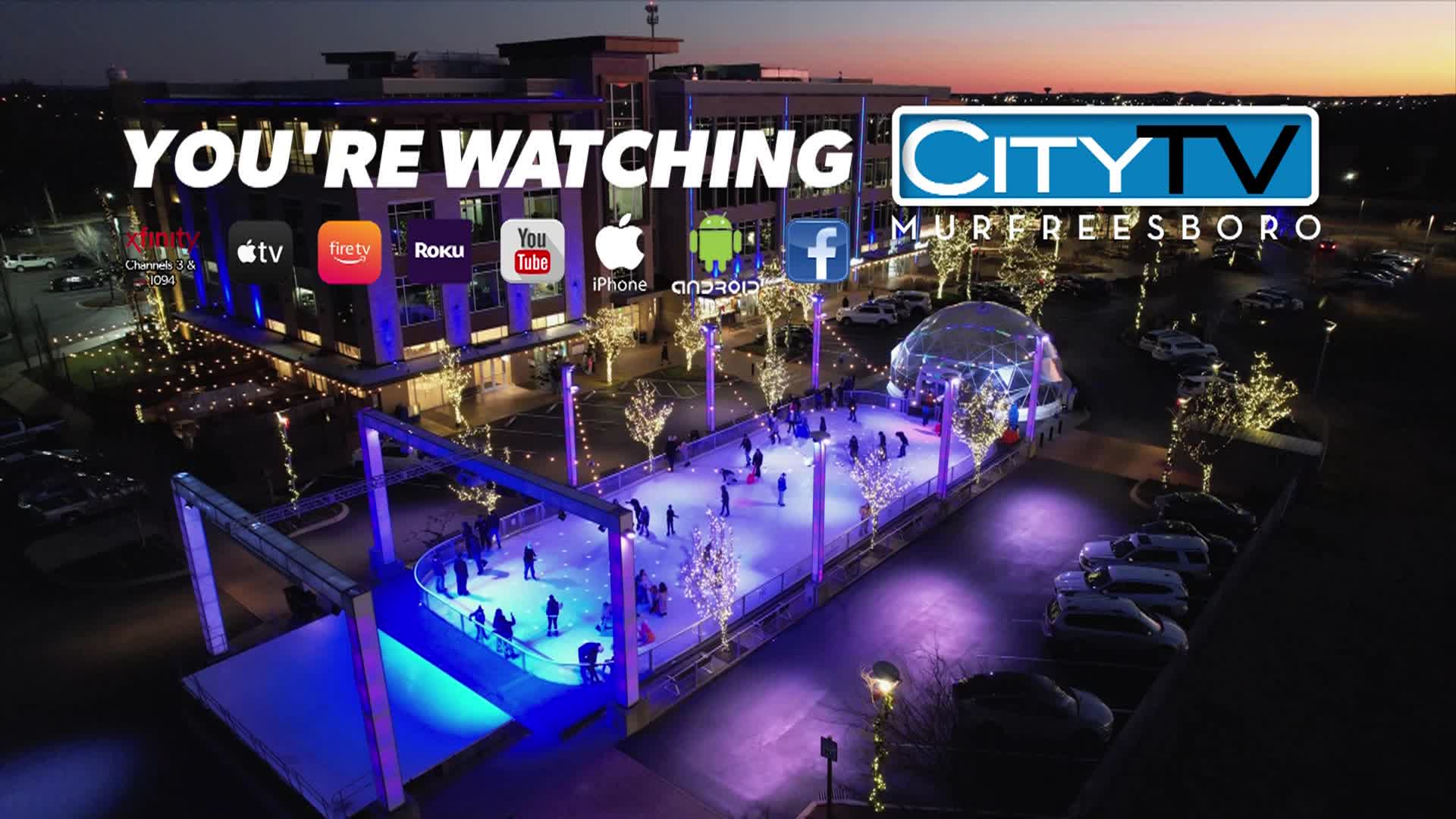 Thumbnail image for Ice Skaters Winter ID