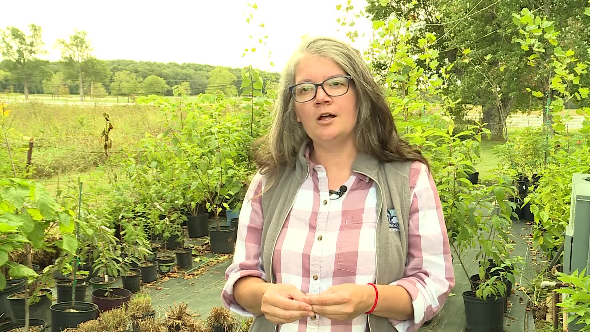 Thumbnail image for Indigenous Plant Project and Plant Sale