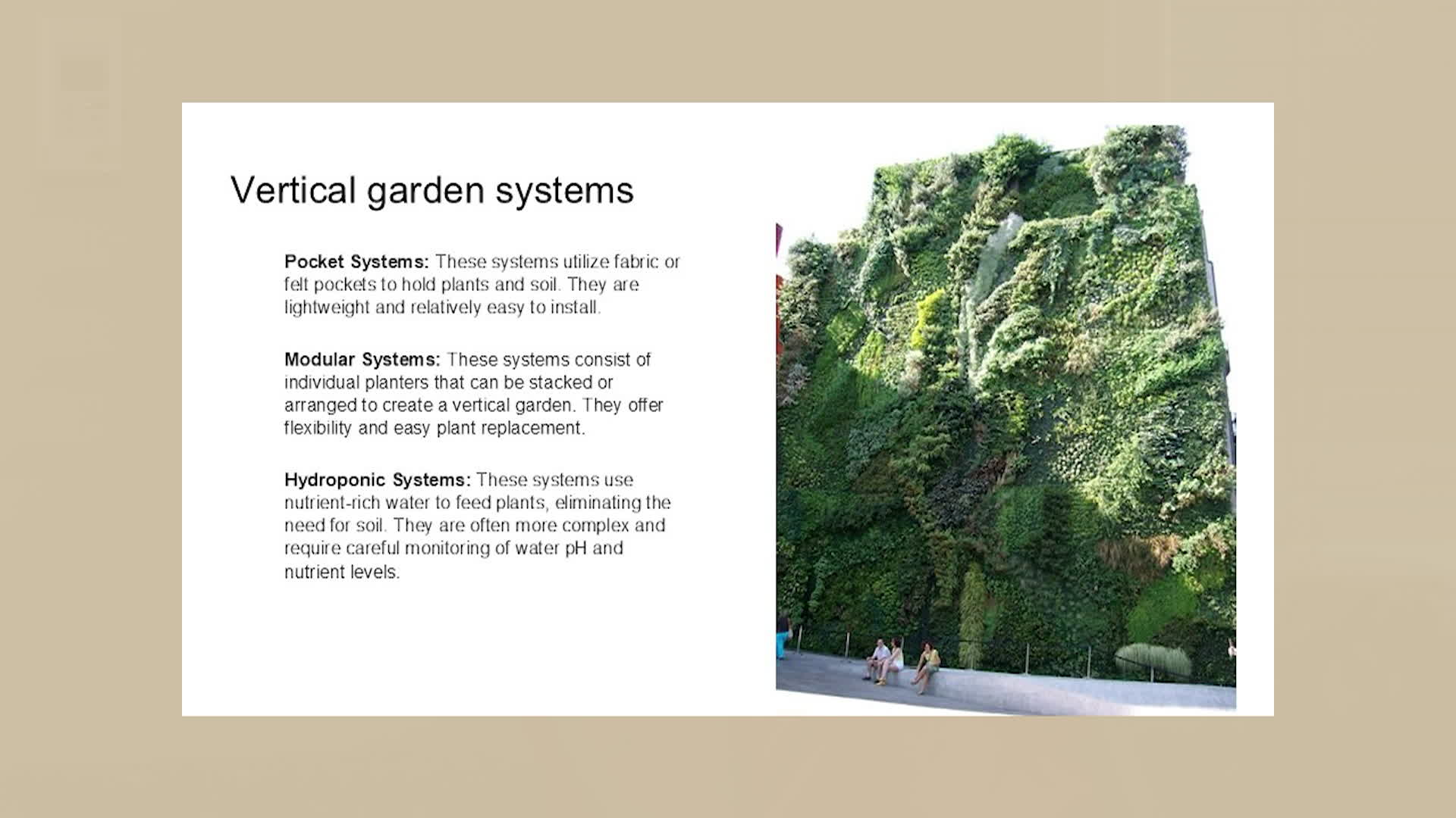Vertical Gardening