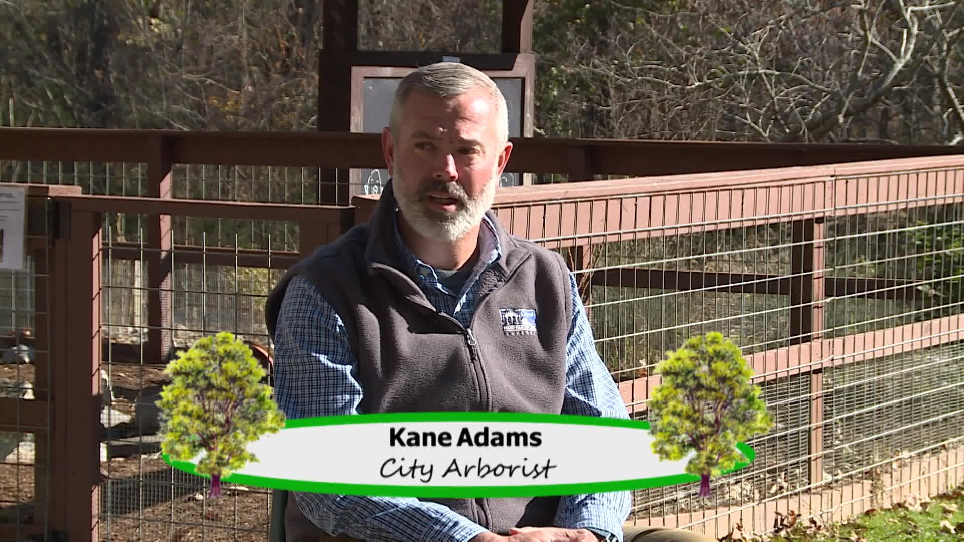 Thumbnail image for Emerald Ash Borer