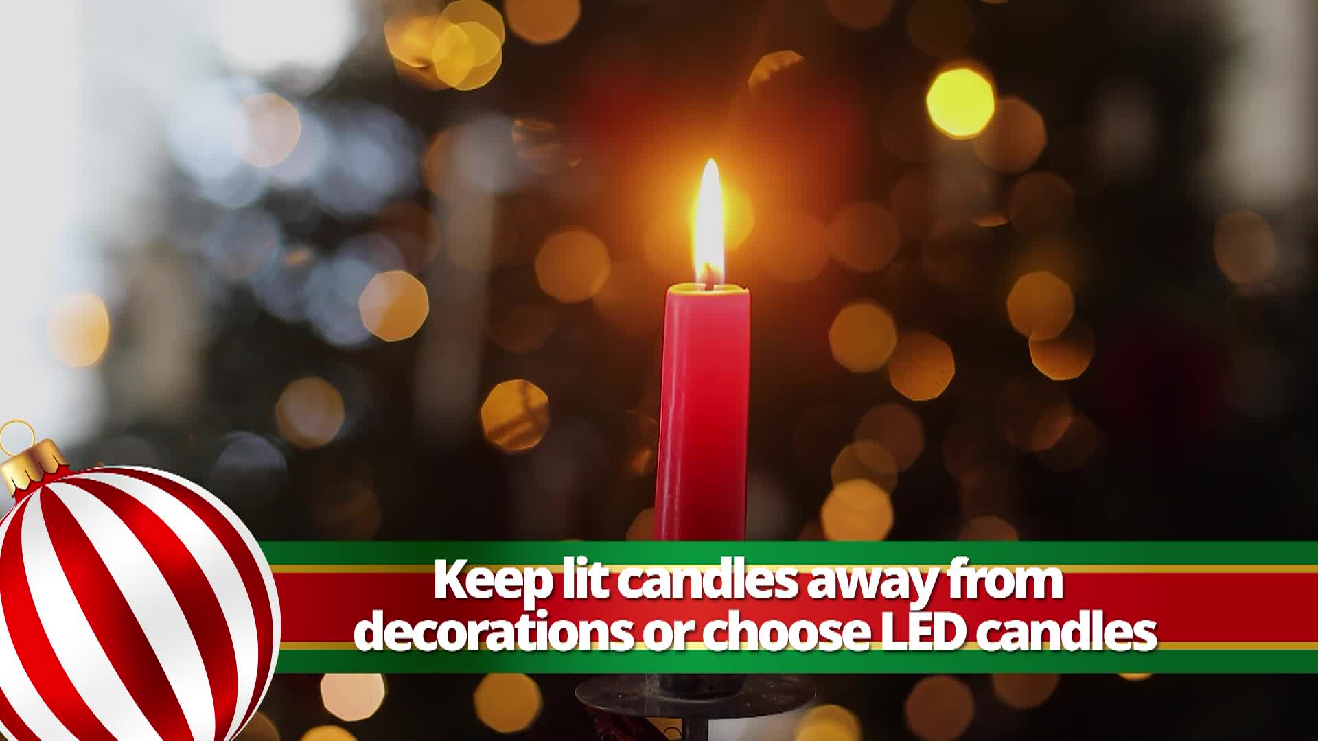 Person adding water to base of Christmas tree