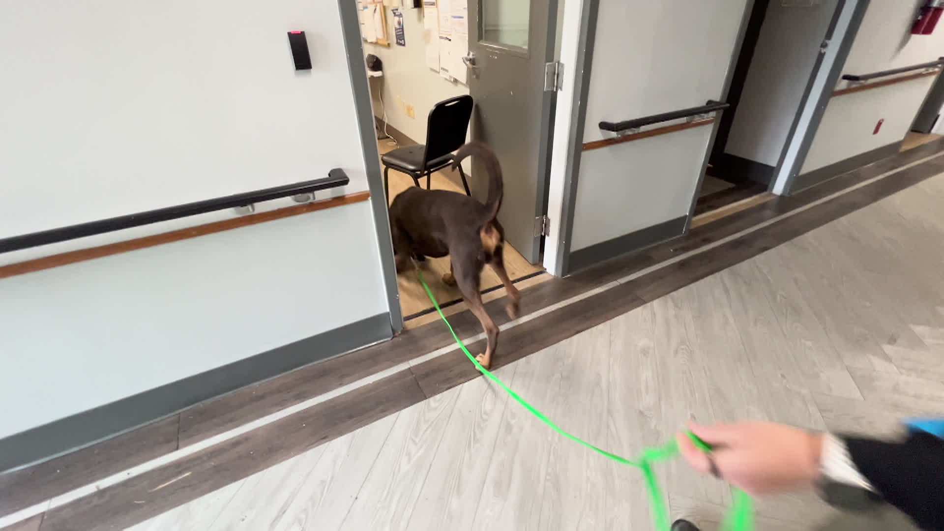 MPD K9 Training Workshop