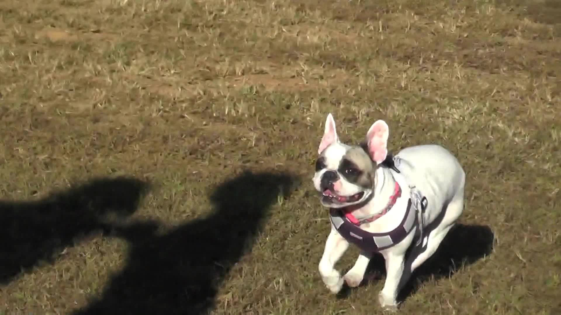 Thumbnail image for Zoe and Megan Show - Parks Part 1