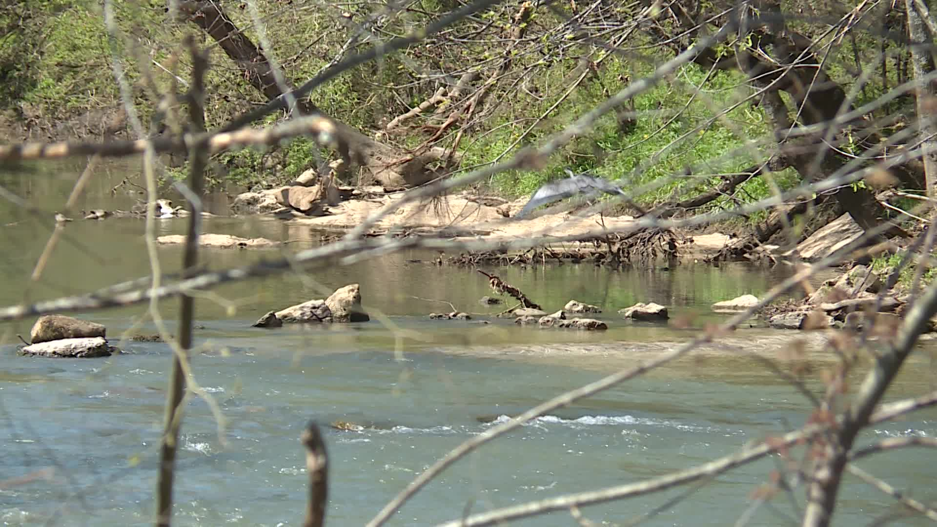 Thumbnail image for State of Our Streams 2021