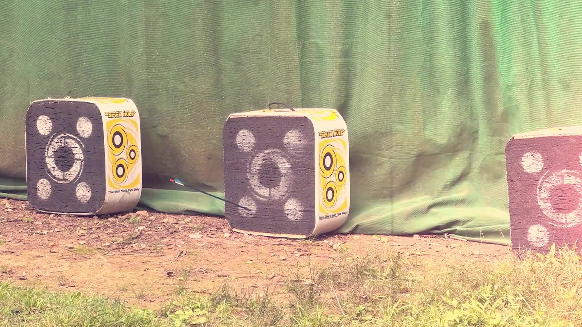 Shot of archery targets used in one of the summer camps