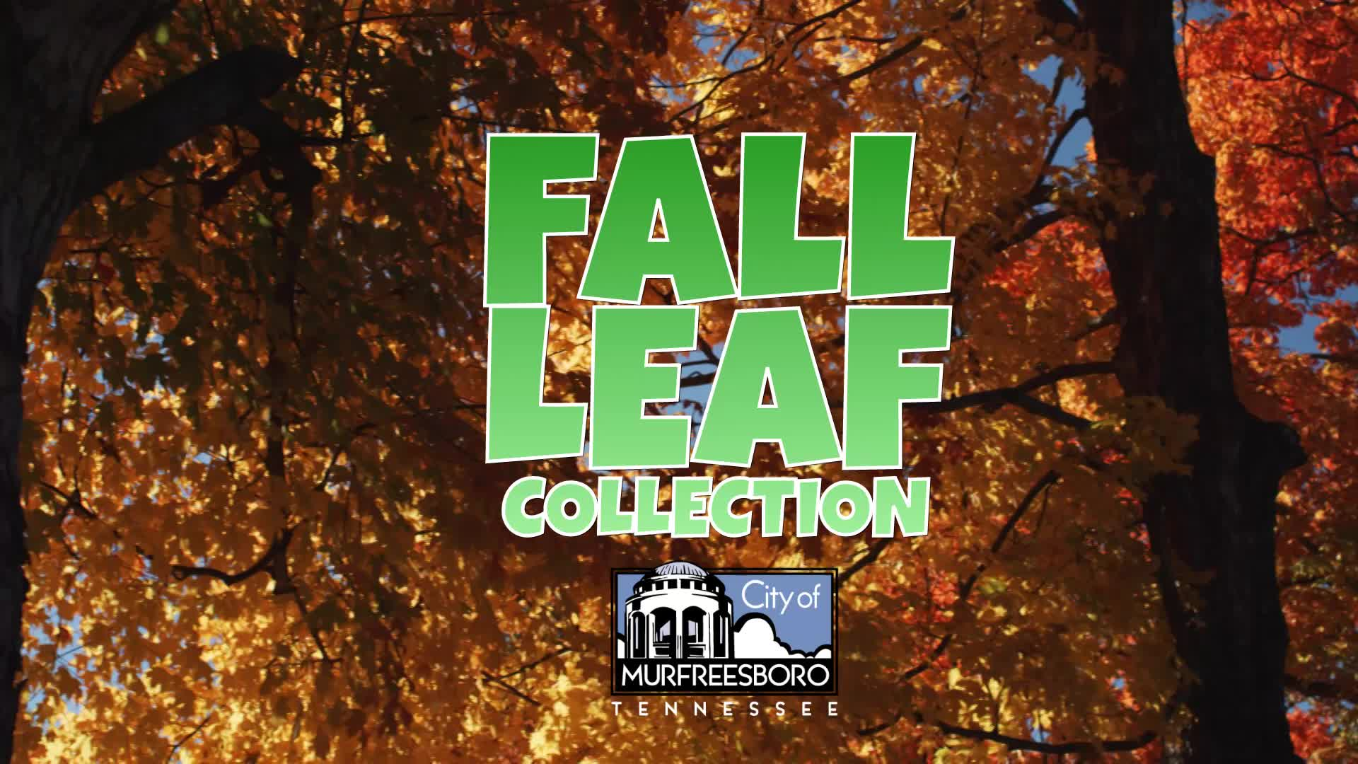 Thumbnail image for Leaf Collection PSA