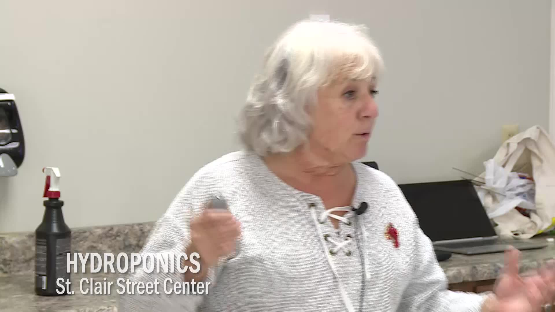 Thumbnail image for In the Garden: Hydroponics