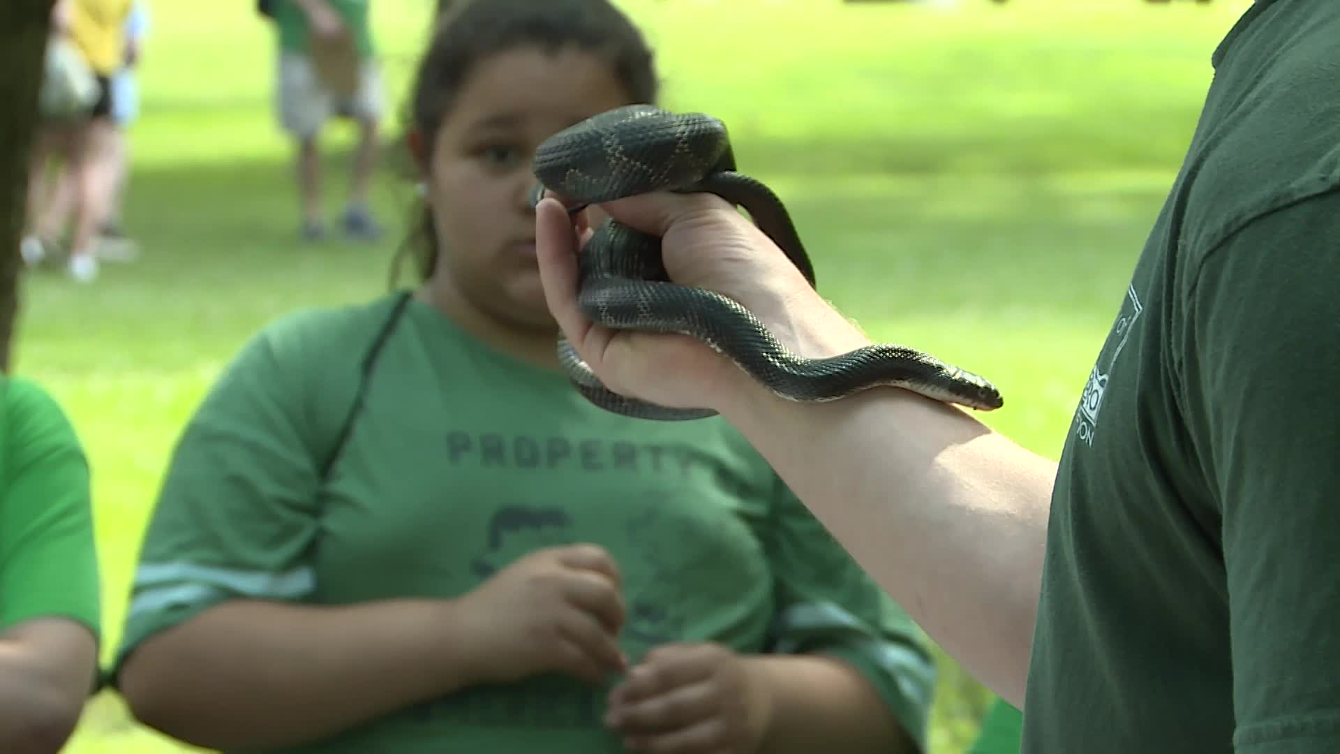 Thumbnail image for Waterfest 2022