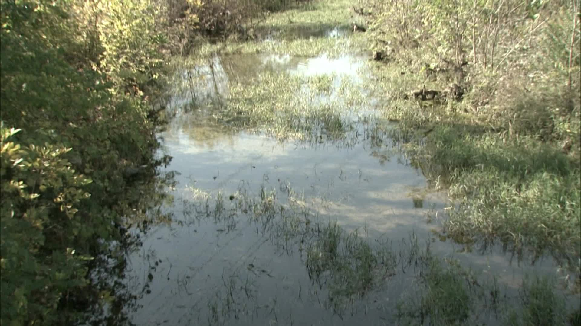 Thumbnail image for Garrison Creek Restoration