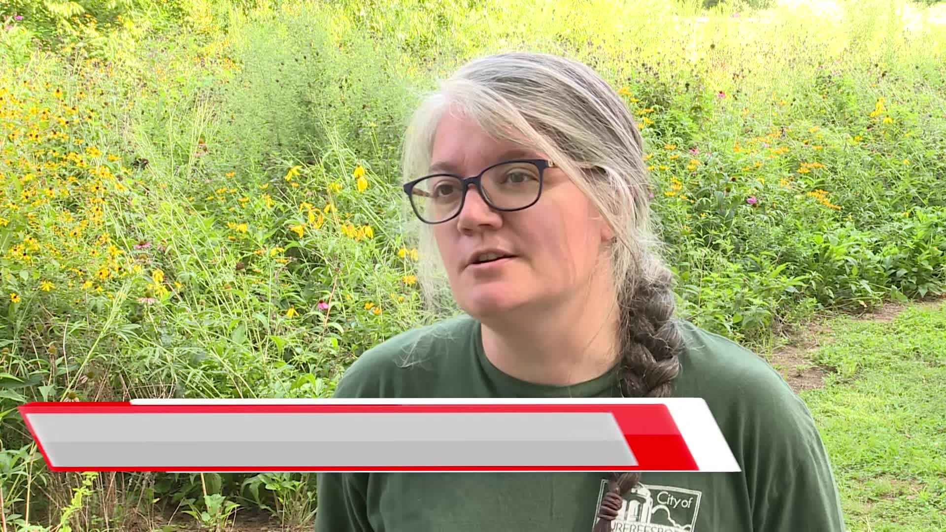 Thumbnail image for Pollinator Plot update