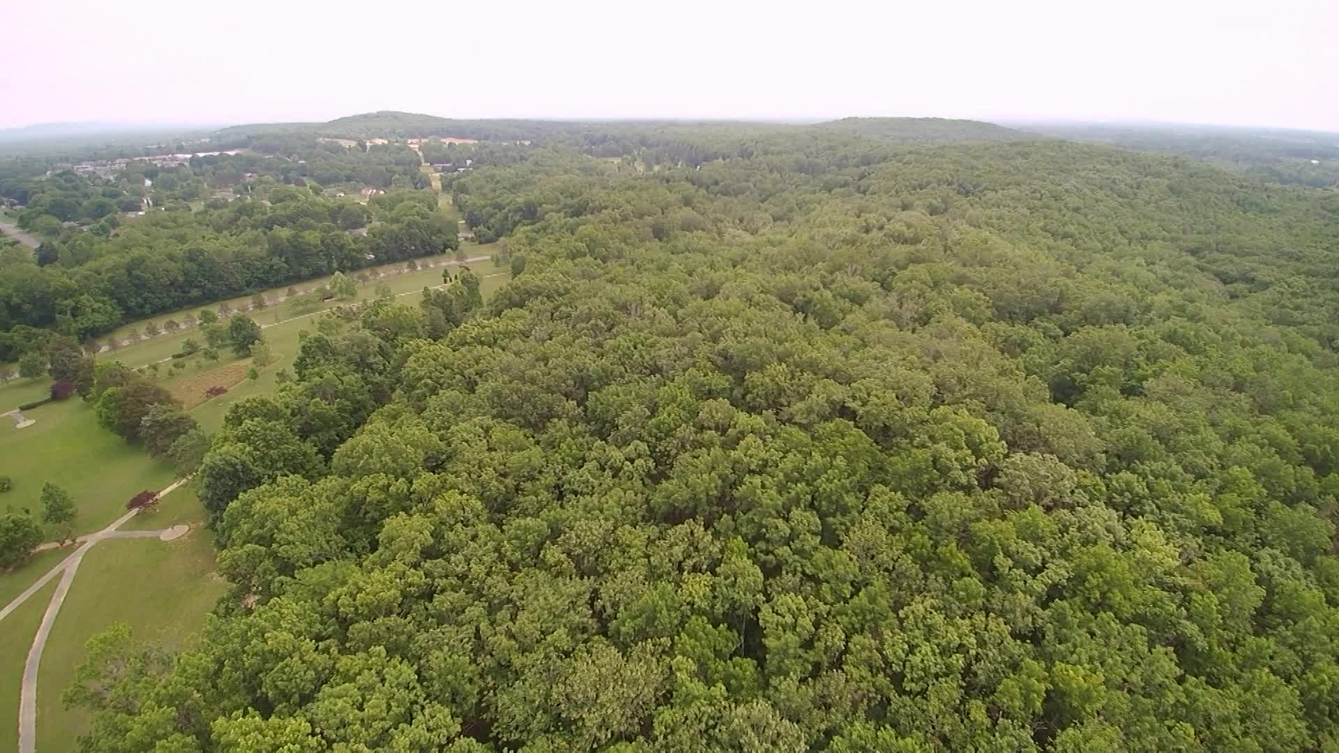 Thumbnail image for New Software for City Arborist (Newsbreak)