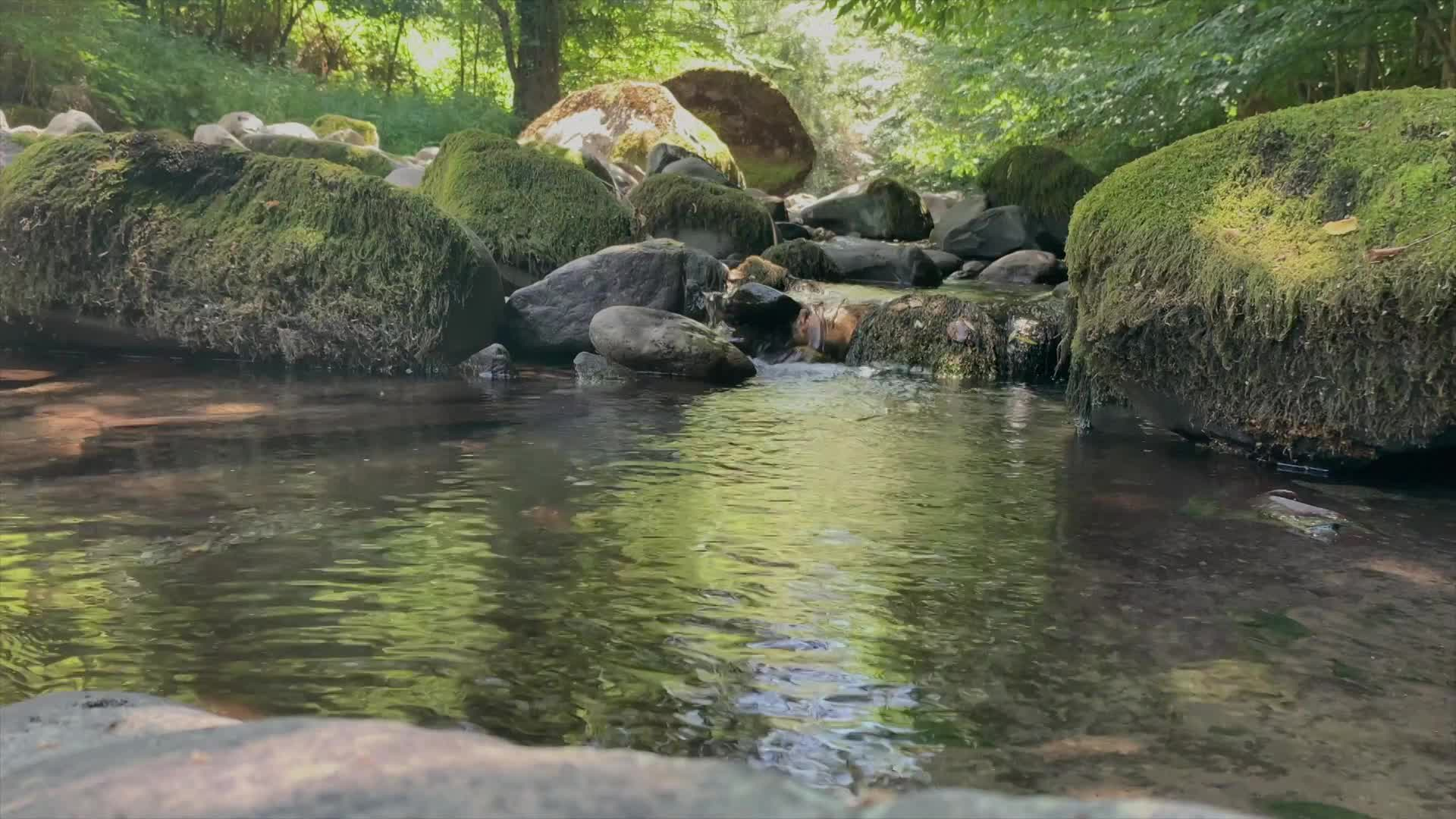 Thumbnail image for Illicit Discharge