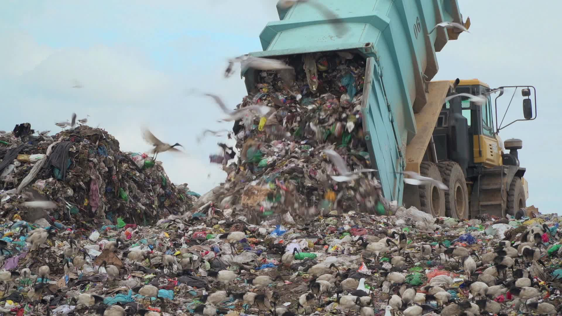 Thumbnail image for WastAway Project Agreement (Newsbreak)