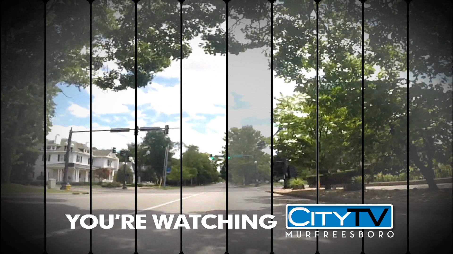 Thumbnail image for Spring ID 4