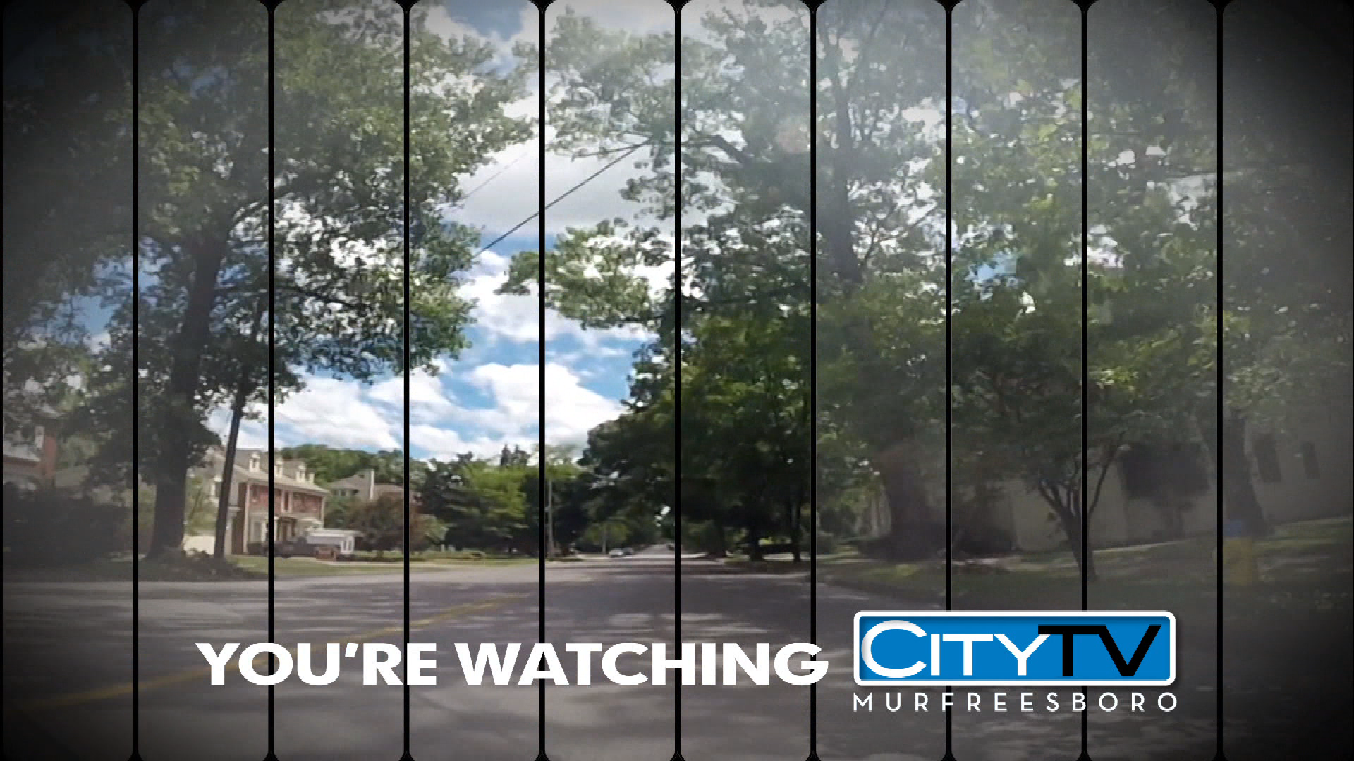 Thumbnail image for Spring ID 5