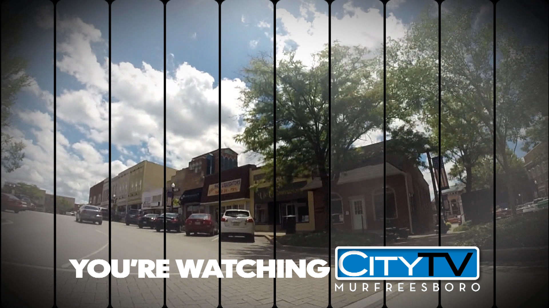 Thumbnail image for Spring ID 8