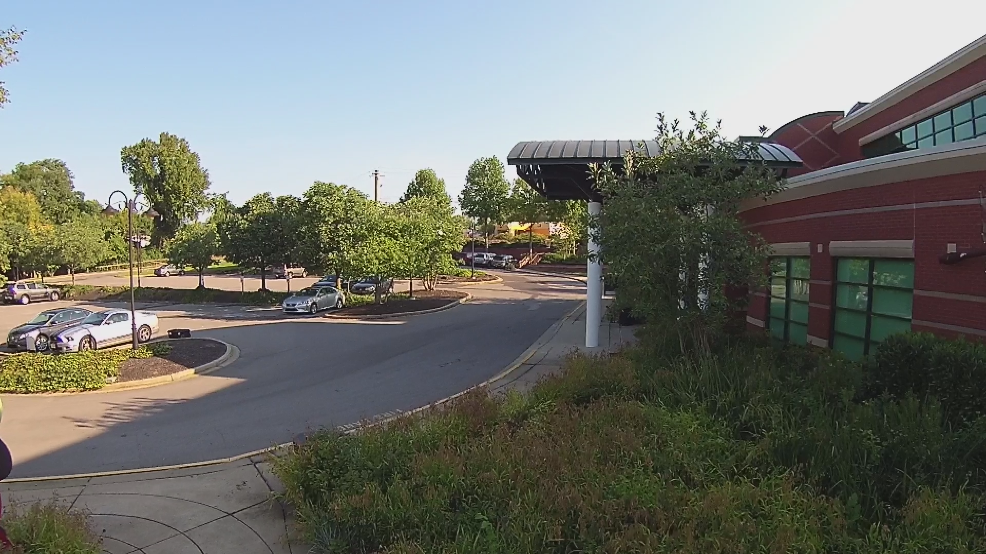 Thumbnail image for Vultures at Discovery Center Wetlands