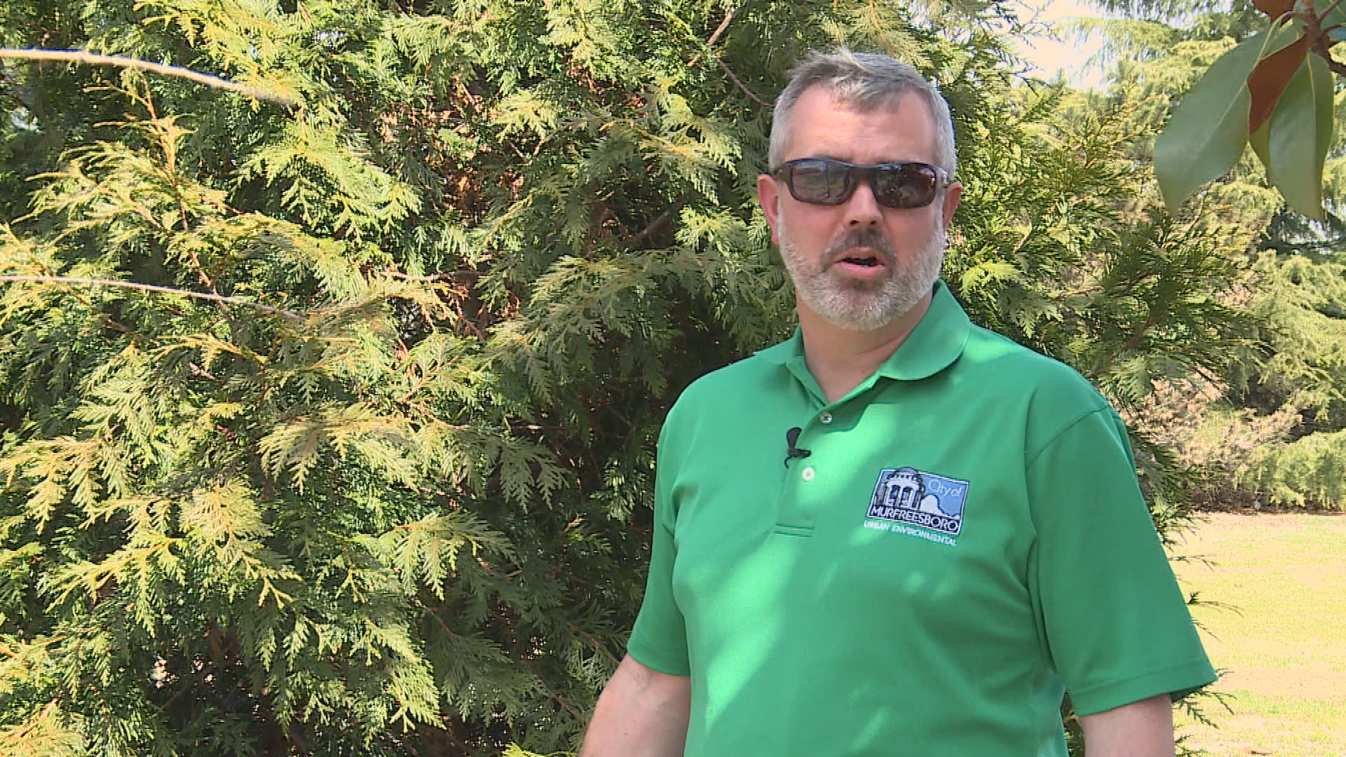 Thumbnail image for Pruning Tips