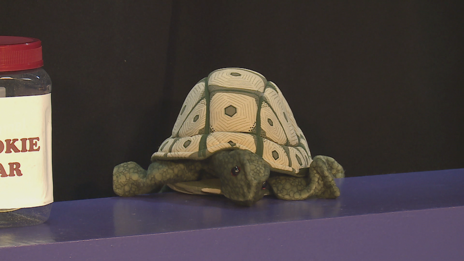 Thumbnail image for It's Mattie Time