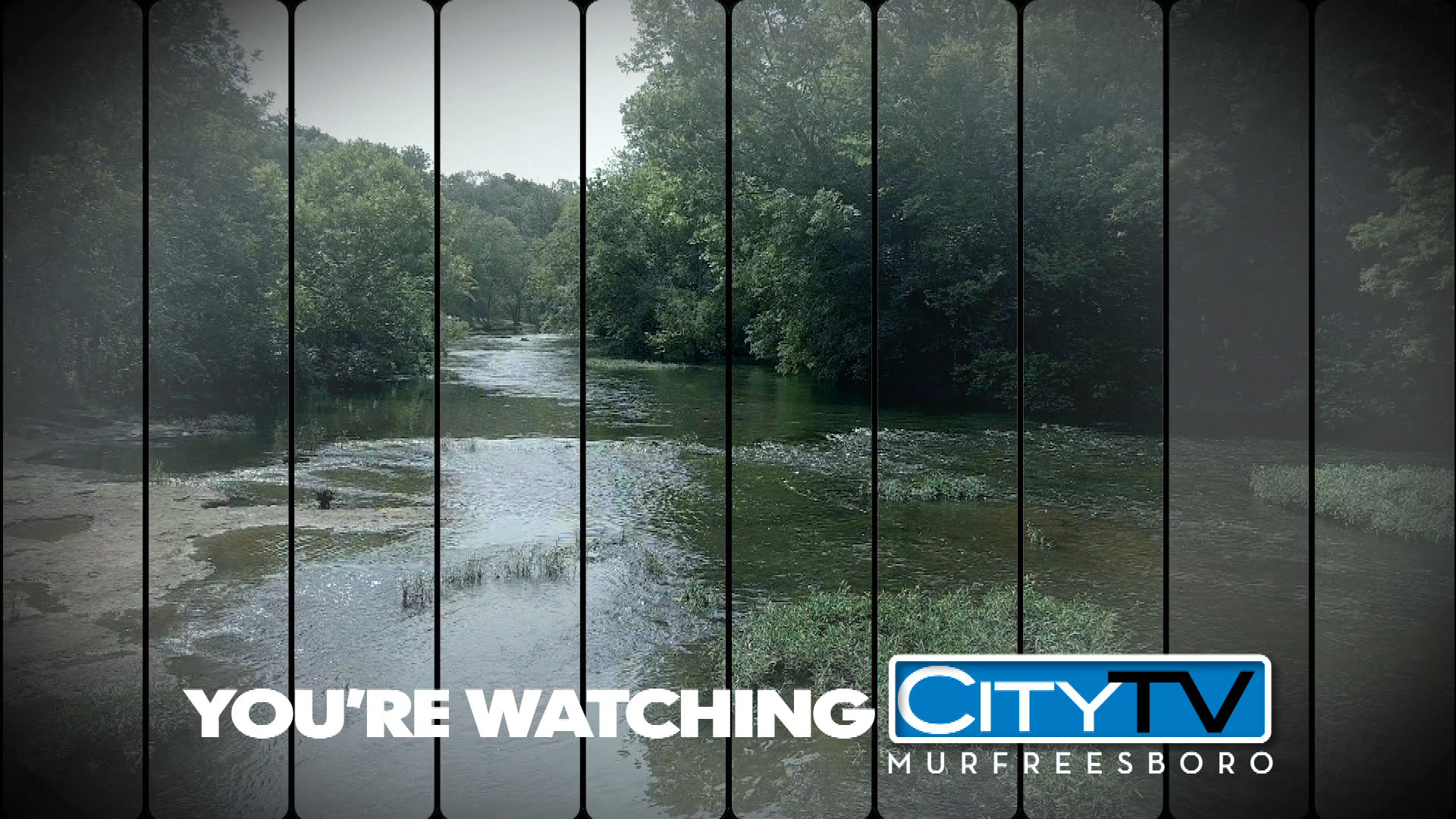 Thumbnail image for Summer Station ID