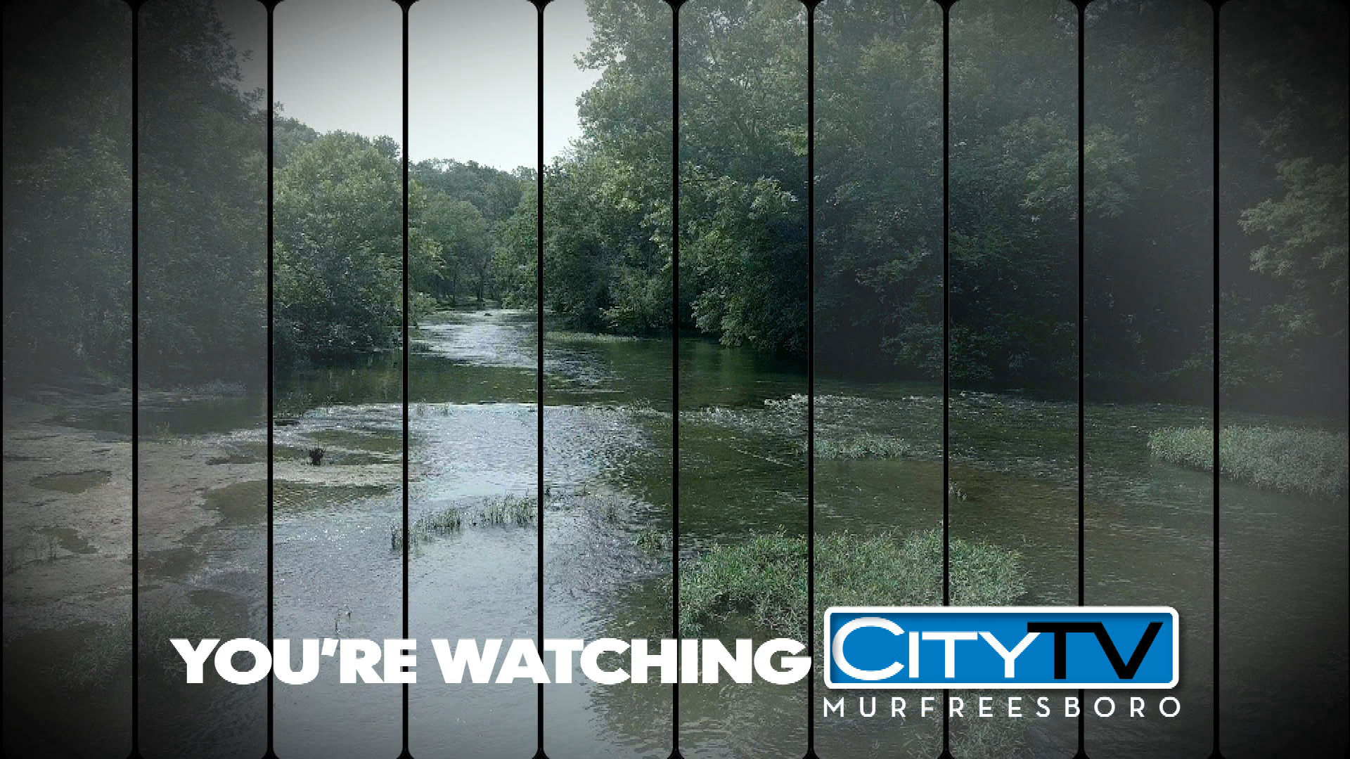 Thumbnail image for Summer Station ID