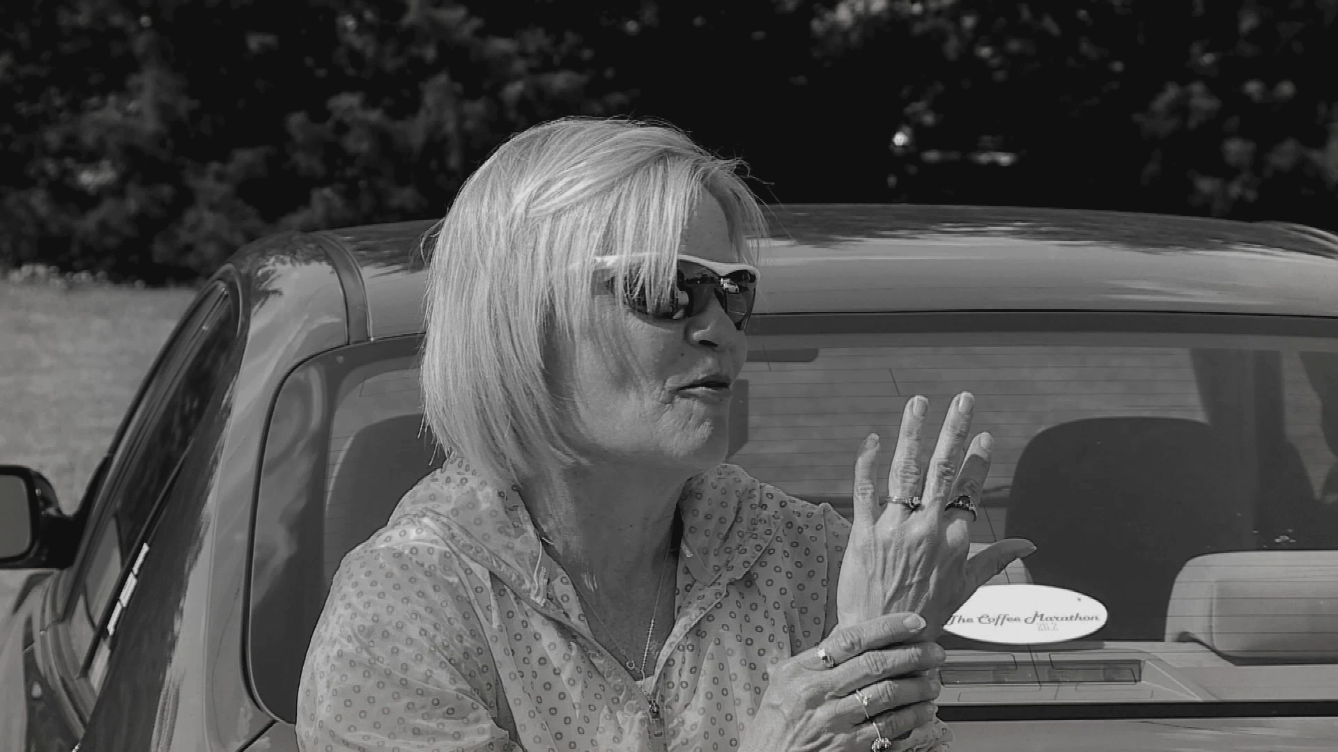 Park Smart Cindy PSA