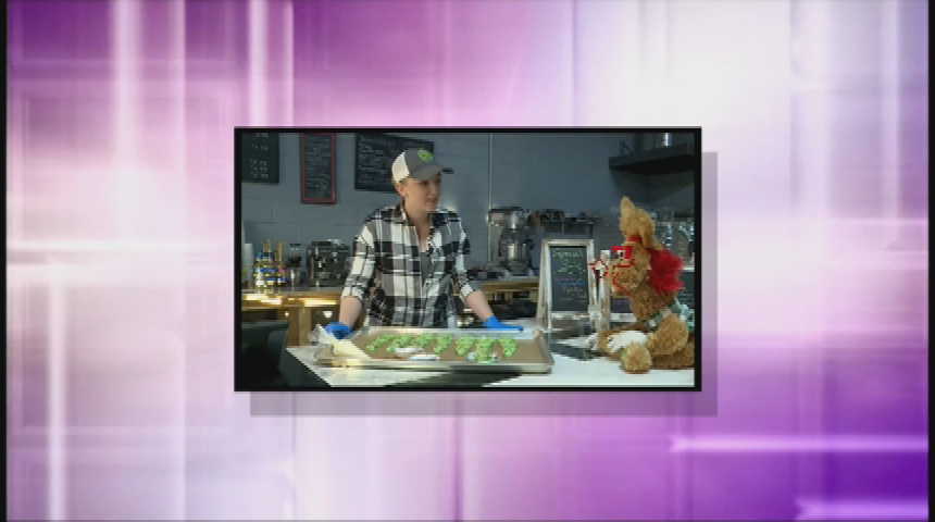 Thumbnail image for Adventures In Murphry's Burrow Promo (December 2016)