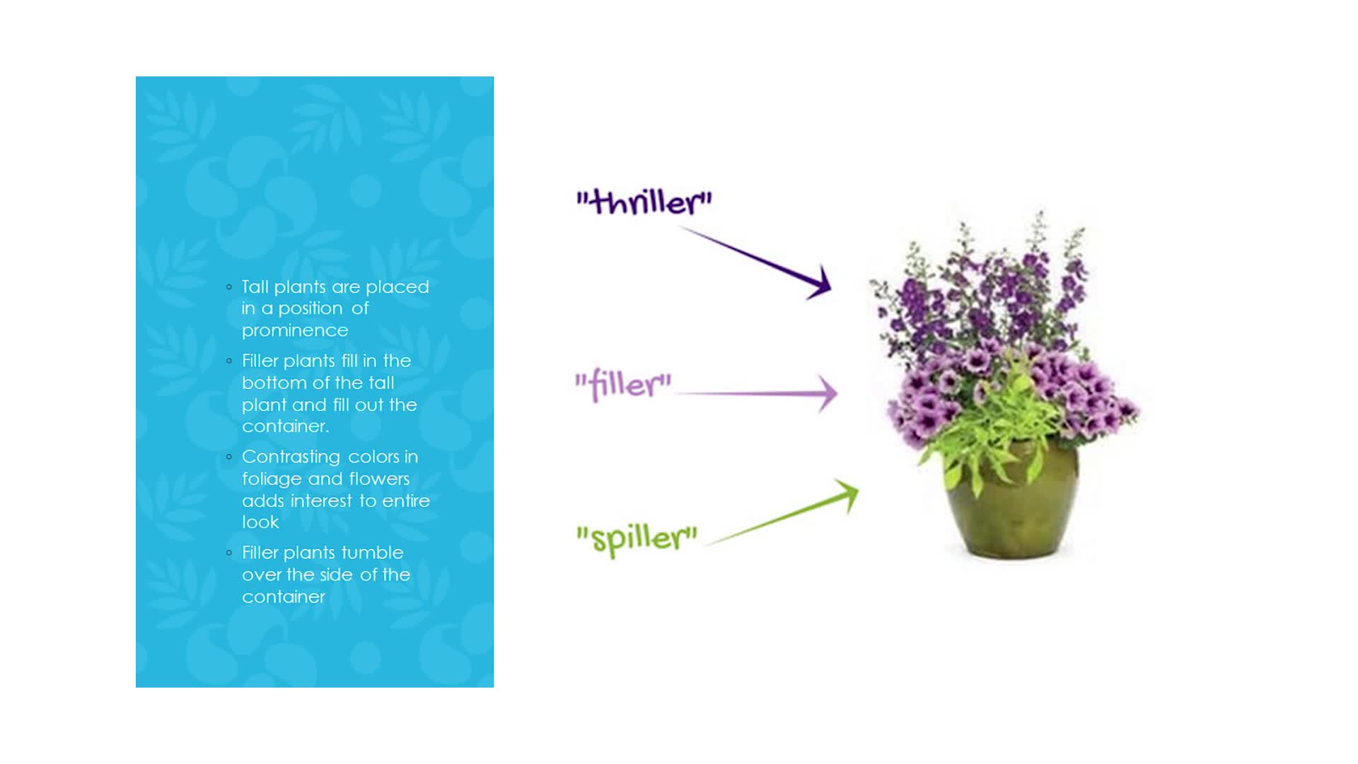 Container Gardening