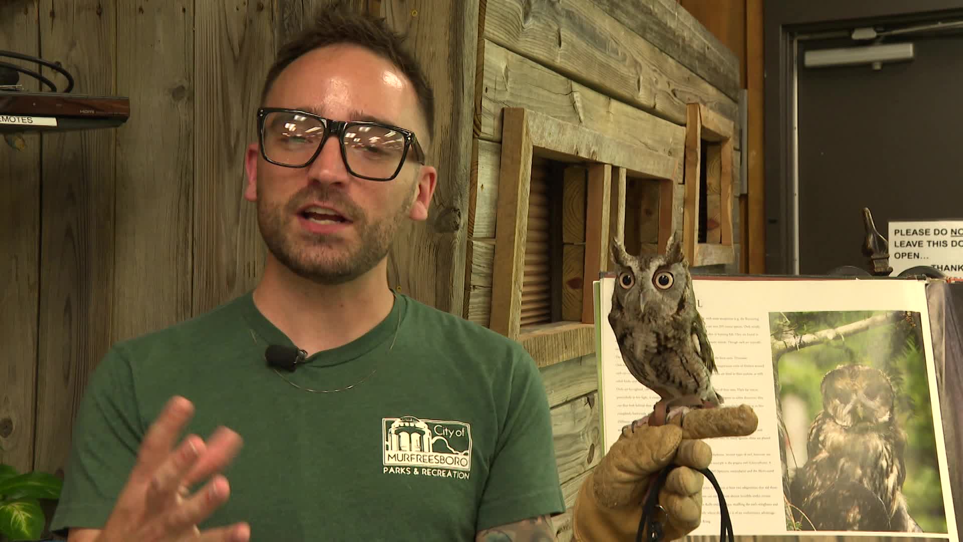 Thumbnail image for All About Owls