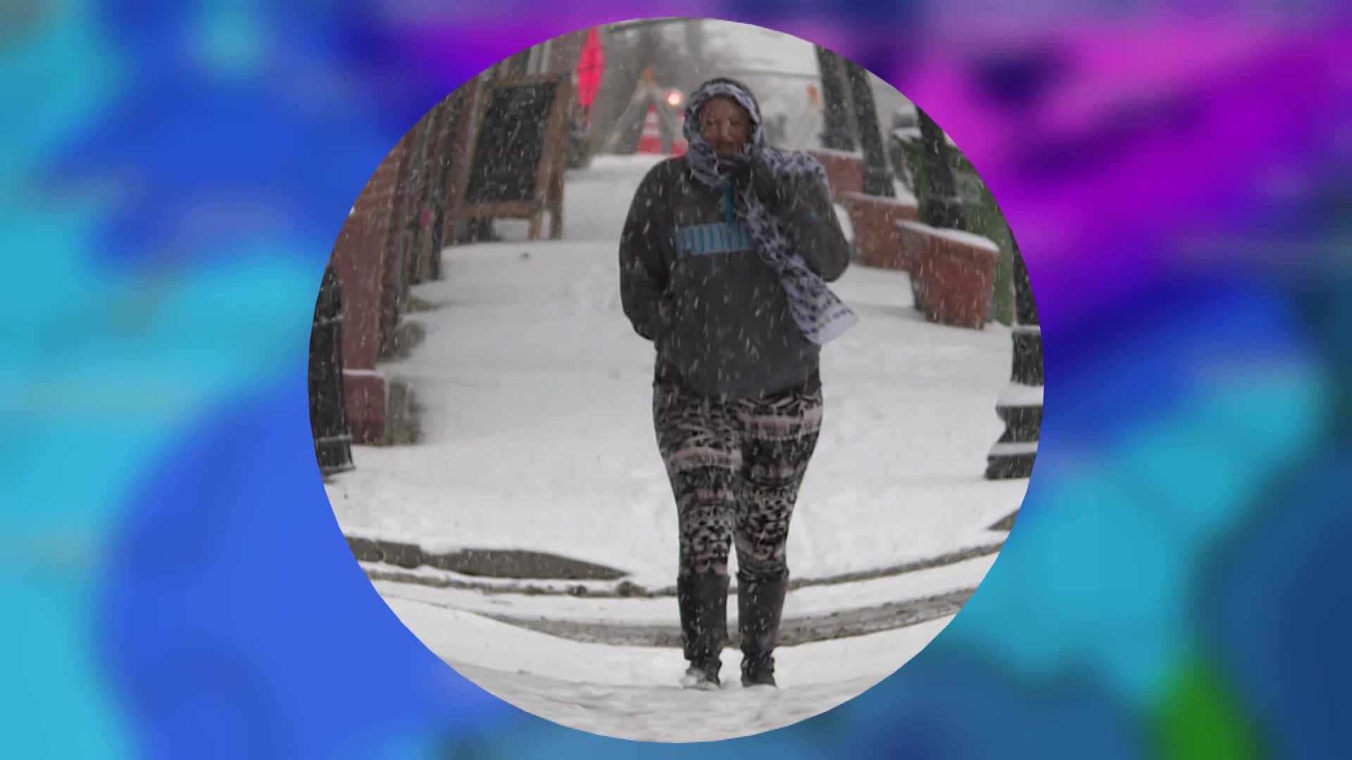 Thumbnail image for Trees & Shrubs Damaged in Arctic Blast