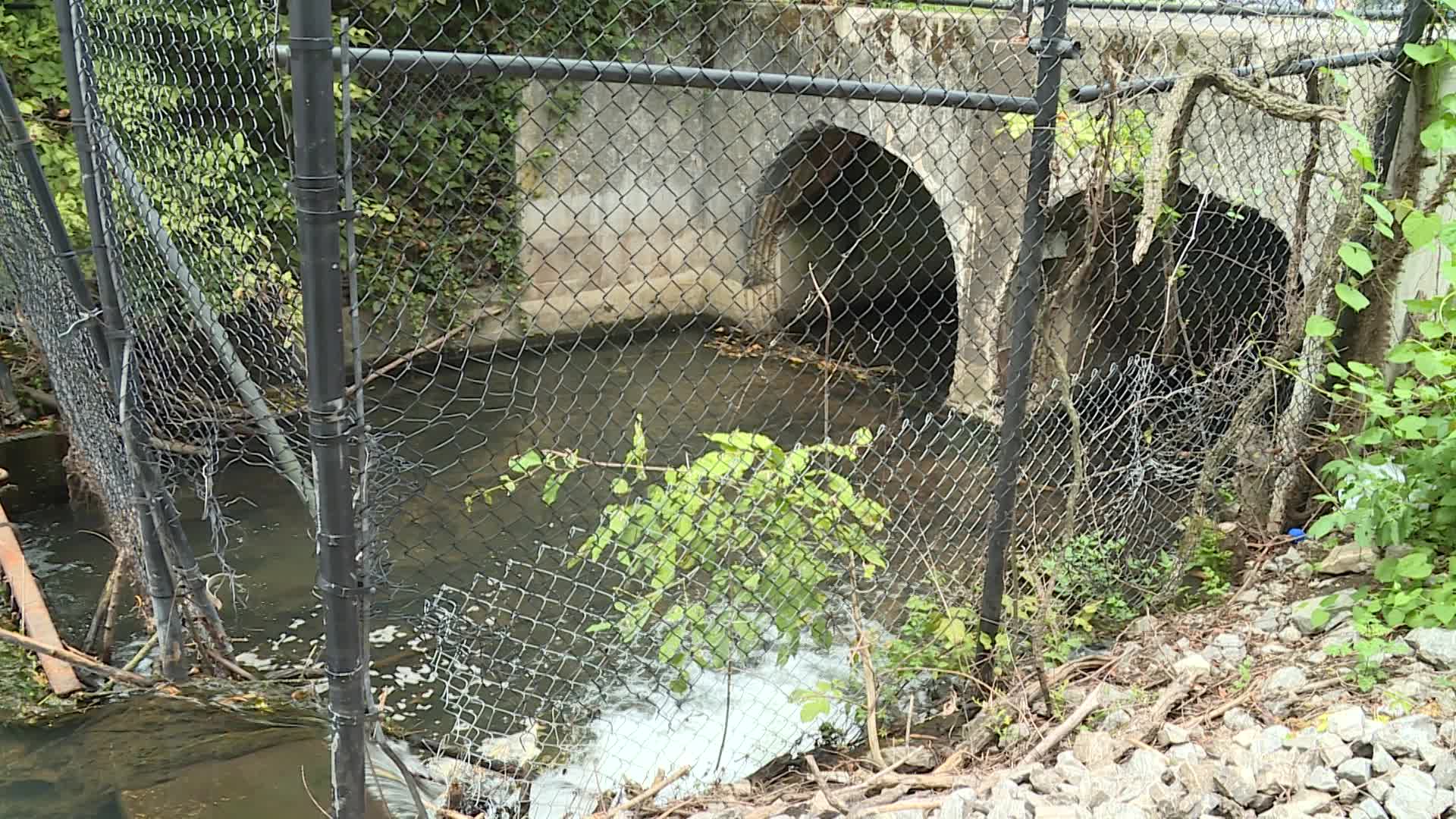 Thumbnail image for Daylighting Town Creek Plan