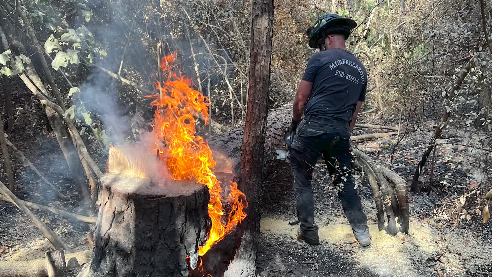 Thumbnail image for MFRD LA Deployment