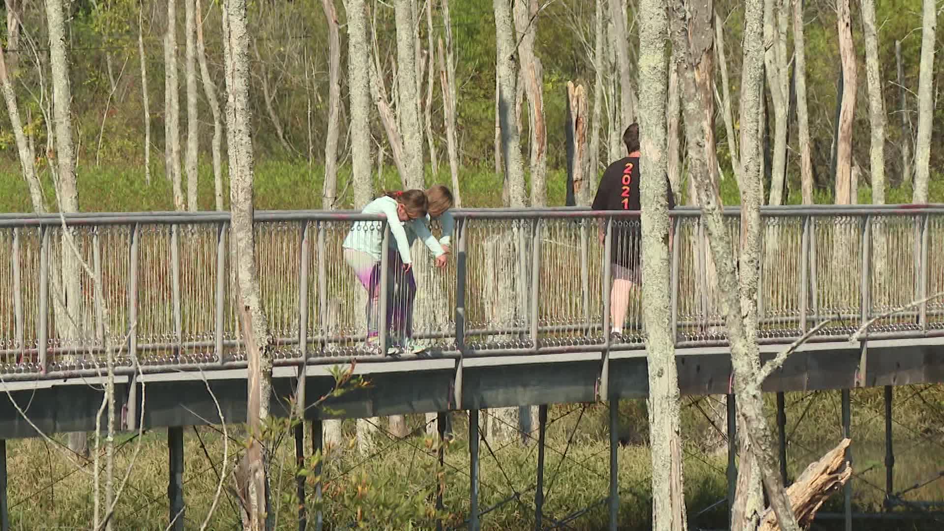 Thumbnail image for Wetlands Boardwalk Reopening